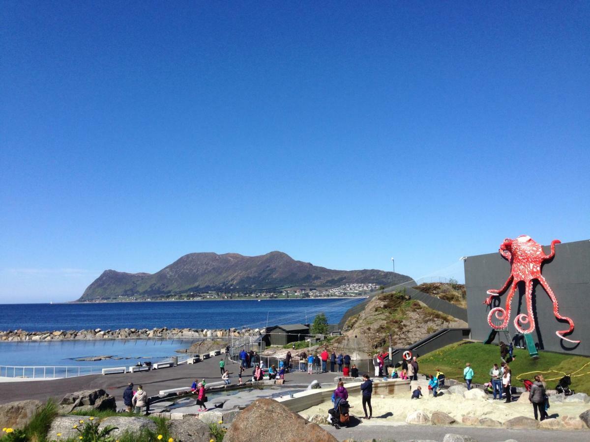 Four Monkeys Hotell Ålesund Exteriör bild